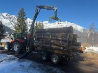 Forst dienstleistung (Sägewerk, sonstige forstliche Dienstleistung, Holzernte & Rückung, Holzvermarktung, Holzprodukte: Produktion/Handel, Brennholz: Produktion/Handel) Tobadill