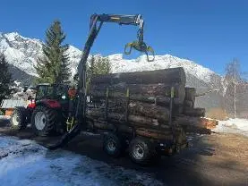 Dienstleistung Forst dienstleistung (Sägewerk, sonstige forstliche Dienstleistung, Holzernte & Rückung, Holzvermarktung, Holzprodukte: Produktion/Handel, Brennholz: Produktion/Handel)