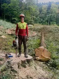 Dienstleistung Holzschlägerung Hofer (Aufforstung, Forstliche Beratung & Planung, sonstige forstliche Dienstleistung, Hackgut: Produktion/Handel, Holzernte & Rückung, Baumabtragung/-pflege, Jungwaldpflege, Holzvermarktung, Brennholz: Produktion/Handel)