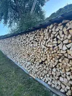 Brennholz Esche, Buche Hallein