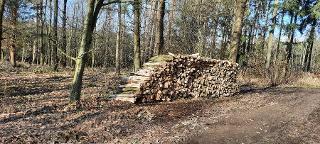 Brennholz Eiche, Buche Buche/eiche