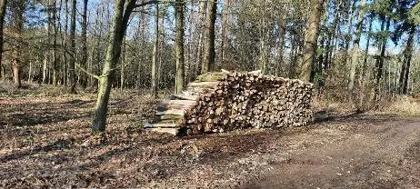 Brennholz Brennholz Eiche, Buche Buche/eiche