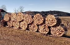 Brennholz Fichte