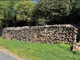 Brennholz Brennholz Kiefer