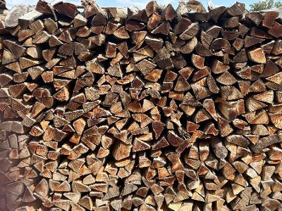 Brennholz Kiefer, Buche