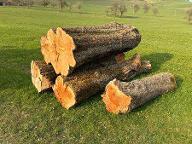 Rundholz Birne Losenstein 