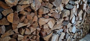 Brennholz Esche, Eiche, Lärche