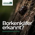 ad Wenn der Käfer kommt zählt jeder Tag