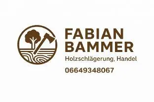 Dienstleistung Holzschlägerungen/Handel Fabian Bammer
