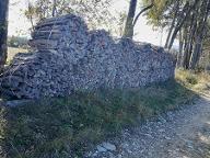 Brennholz Esche, Ahorn, Buche