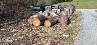 Brennholz Fichte, Kiefer Windhaag/Perg