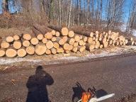 Rundholz Kiefer Linz