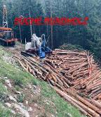 Rundholz Fichte