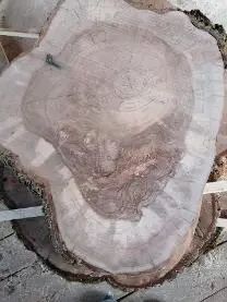 Holzprodukte Eschen Scheiben
