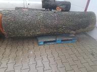 Rundholz Zeder Ganzer Stamm in 3 x 2.5m Stücken