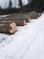 Rundholz Eiche