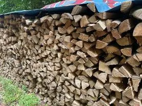 Brennholz Brennholz Buche