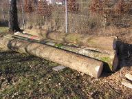 Rundholz Esche Astrein