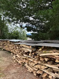 Brennholz Brennholz Esche