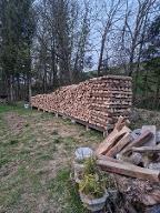 Brennholz Esche