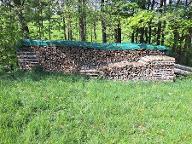 Brennholz Buche Peilstein