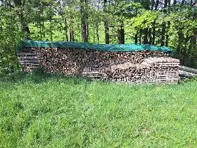 Brennholz Brennholz Buche