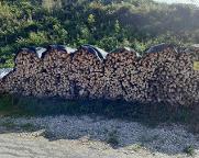 Brennholz Ahorn, Buche