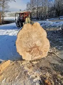 Rundholz Rundholz Esche Großer Durchmesser