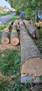 Rundholz Esche Astrein Redlham