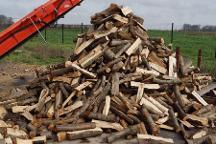 Brennholz Eibe, Sonstiges Holz, Buche Brennholz