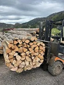 Brennholz Brennholz Esche, Ahorn, Buche Meterscheiter Bündel