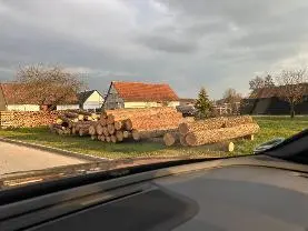 Rundholz Rundholz Fichte Fichtenstämme mit keinen/wenig Äste