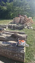 Brennholz Eiche, Buche 50 RM Buche, 30 RM Eiche Pressbaum