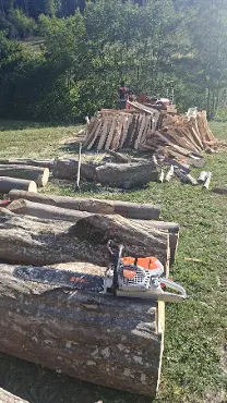 Brennholz Brennholz Eiche, Buche 50 RM Buche, 30 RM Eiche
