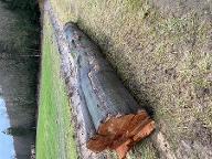 Rundholz Buche