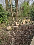 Rundholz Ahorn und Eiche Ratingen