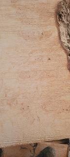 Rundholz Ahorn Vogelaugen Bischofstetten