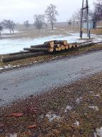 Rundholz Fichte Wendling