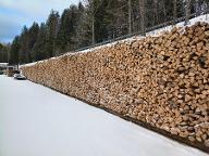 Brennholz Buche Länge von 25 cm bis 1 m