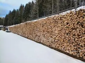 Brennholz Brennholz Buche Länge von 25 cm bis 1 m