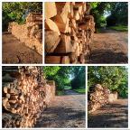 Brennholz Esche, Buche