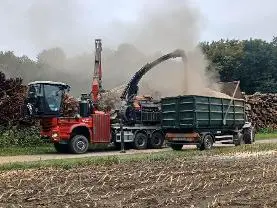 Hackschnitzel Hackgut Hart-/Weichholz gemischt