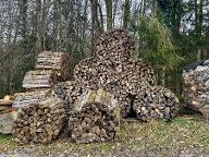 Brennholz Esche, Buche Steinbach an der Steyr