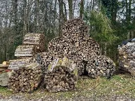 Brennholz Brennholz Esche, Buche