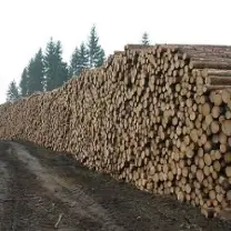 Brennholz Brennholz Fichte, Kiefer