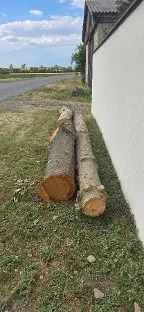 Rundholz Sonstiges Holz Stamm vom Nussbaum,Kirche,Fichte Kammersdorf