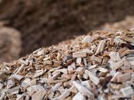 Hackschnitzel Hackgut Weichholz (>90%)