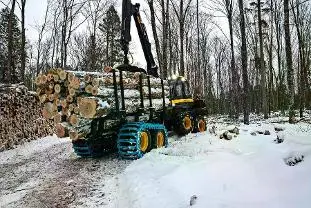 Dienstleistung FoJa.GmbH (Aufforstung, Wegebau, Jagd & Wildmanagement, Forstliche Beratung & Planung, sonstige forstliche Dienstleistung, Hackgut: Produktion/Handel, Holzernte & Rückung, Baumabtragung/-pflege, Jungwaldpflege, Brennholz: Produktion/Handel)