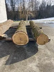 Rundholz Rundholz Eiche