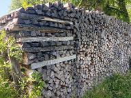 Brennholz Esche